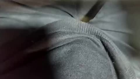 Tomas online show from February 12, 10:37 pm