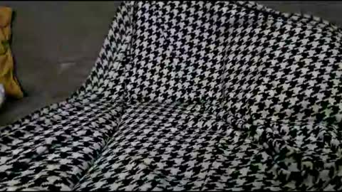 Bima online show from September 24, 8:45 pm