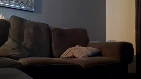 Snapshot of tommygee8805 chatting on December 6, 4:36 am Tonyfun online show from December 6, 4:36 am