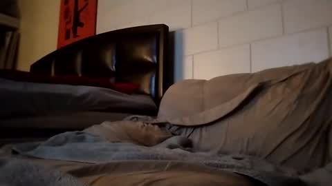 tomthebomb347 online show from September 14, 10:20 pm