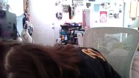 Tonka Wilde online show from February 19, 5:20 pm