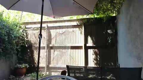 Snapshot of topsywilde chatting on February 14, 10:12 am Topsy online show from February 14, 10:12 am