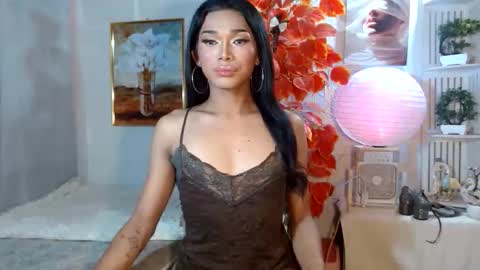 toptrans venice online show from April 14, 12:16 am