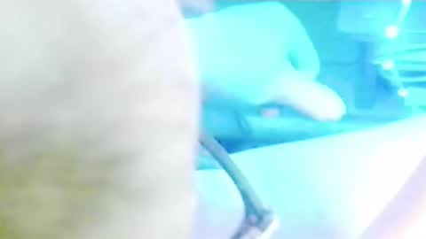 tornne online show from April 2, 12:14 pm