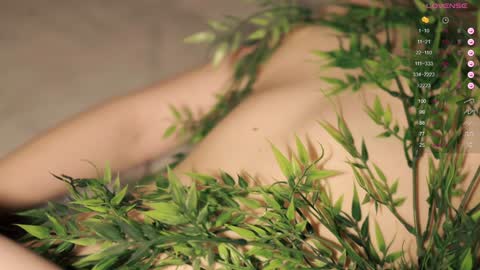 Toshi online show from December 2, 1:02 pm