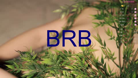 Toshi online show from December 15, 4:15 pm