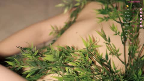 Toshi online show from September 17, 1:02 pm