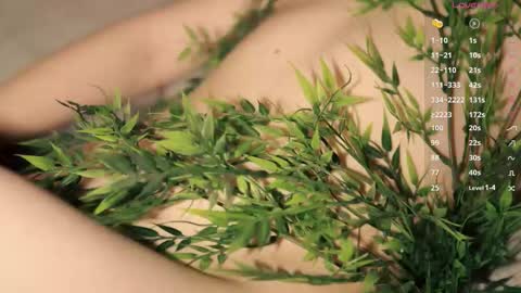 Toshi online show from December 17, 1:06 pm