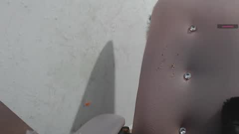 Snapshot of toxxxic_cams chatting on December 22, 3:58 am toxca69 online show from December 22, 3:58 am