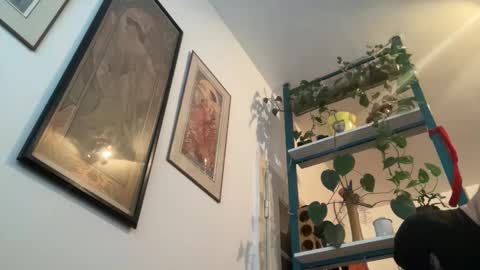 Snapshot of toybdsmguy chatting on December 28, 8:37 am toybdsmguy online show from December 28, 8:37 am