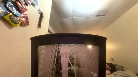 tracy227 online show from November 9, 10:41 pm