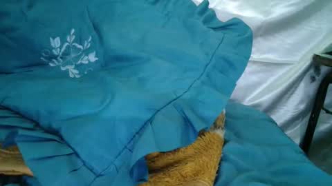 transexdotada online show from October 23, 5:12 pm