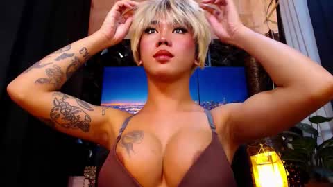 transpornidol online show from December 18, 6:03 pm