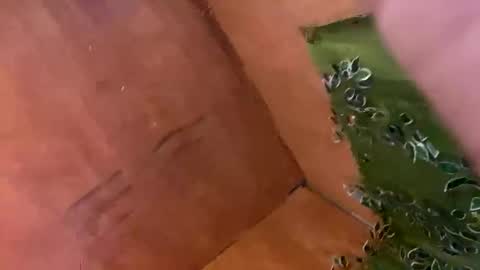 trebz_01 online show from November 17, 7:58 am