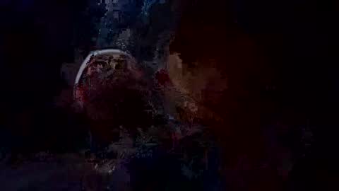 trex23rd online show from November 21, 8:24 am