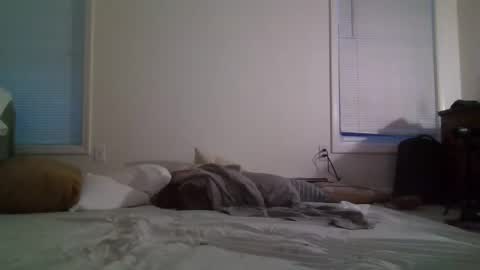 trickquestion online show from February 8, 11:44 am