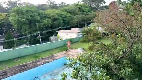 trigood online show from November 28, 9:17 pm