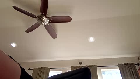 Snapshot of trillnonymau5 chatting on December 21, 6:34 pm trillnonymau5 online show from December 21, 6:34 pm