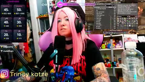 Trin Kat pet online show from April 9, 6:46 pm