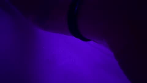 Snapshot of triplehero chatting on December 30, 12:54 am triplehero online show from December 30, 12:54 am