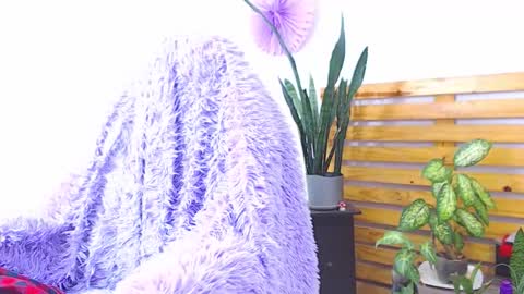 Snapshot of trix_fiore_oficial chatting on February 1, 6:34 am Trix online show from February 1, 6:34 am
