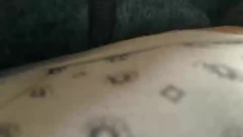 trobelle online show from November 25, 10:37 am