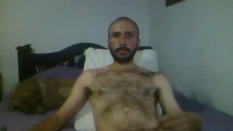 Snapshot of troytis chatting on November 16, 10:26 pm Troy online show from November 16, 10:26 pm