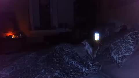 Amber White online show from October 29, 3:20 am