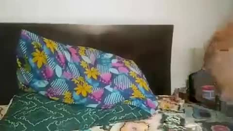 Mario Ramirez online show from July 2, 1:27 am