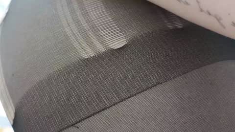 Ariana online show from February 6, 12:00 am