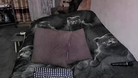 Snapshot of tviks chatting on October 23, 11:35 pm Lana online show from October 23, 11:35 pm