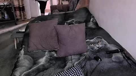 Snapshot of tviks chatting on November 17, 7:36 am Lana online show from November 17, 7:36 am