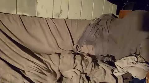 TwistedBlizzy online show from January 22, 6:20 pm