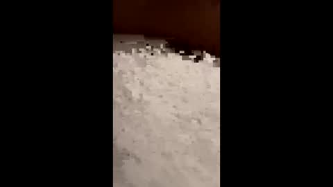 Snapshot of txcouple281 chatting on November 16, 8:53 am txcouple281 online show from November 16, 8:53 am