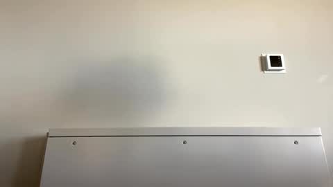 Snapshot of tylercameron28 chatting on September 21, 6:09 pm TylerC online show from September 21, 6:09 pm