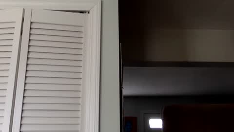 Tyler Durden online show from March 2, 7:45 pm