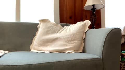 Tyler Sands online show from March 2, 3:05 pm