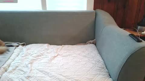 Tyler Sands online show from December 16, 12:54 pm