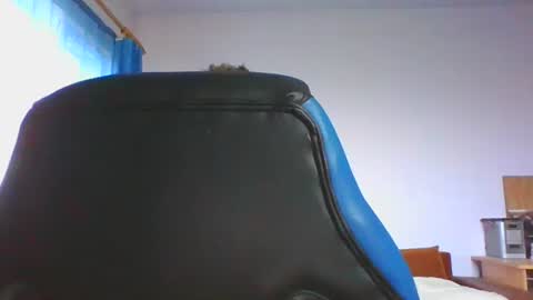 Snapshot of ulmeni4 chatting on December 4, 6:44 am ulmeni4 online show from December 4, 6:44 am