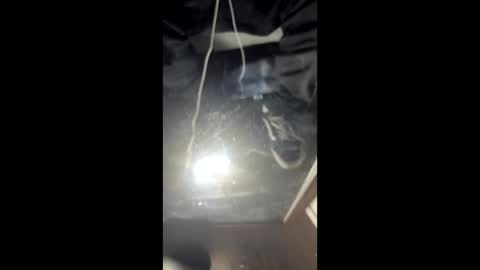 Astic BW online show from March 3, 10:21 am