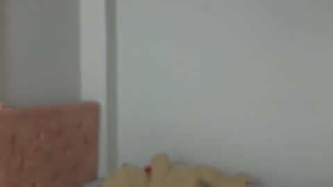 valery_lovex_ online show from October 10, 2:10 am