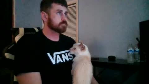 Vandal2021 online show from November 20, 12:11 am