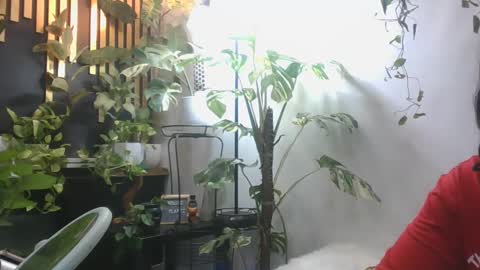 vanessa__foxx online show from December 5, 4:44 pm