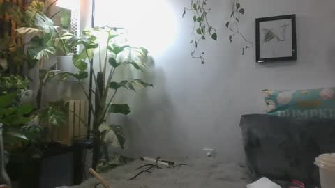 vanessa__foxx online show from December 16, 6:32 am