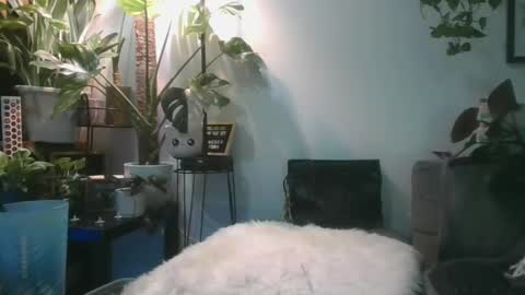 vanessa__foxx online show from February 17, 11:55 am