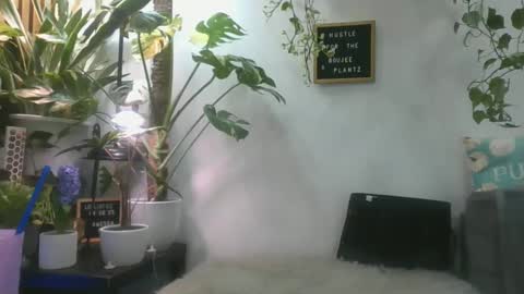 vanessa__foxx online show from March 1, 4:22 pm