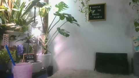 vanessa__foxx online show from March 1, 7:26 pm