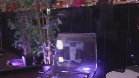 Vanessa online show from July 2, 6:36 pm