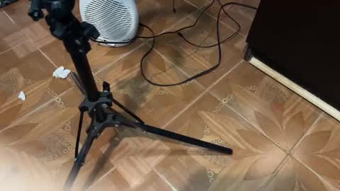 Geovani Agustin Garcia online show from February 5, 6:07 am