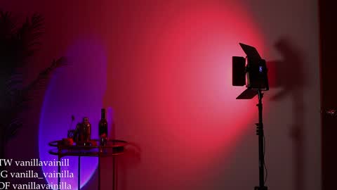 Snapshot of vanilla_velvet chatting on December 30, 12:22 am Annabet online show from December 30, 12:22 am